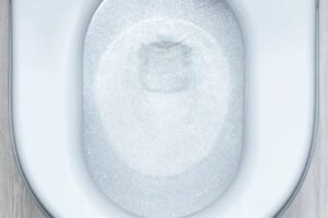 きれい除菌水